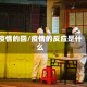 疫情的回/疫情的反应是什么