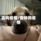 丢狗疫情/宠物狗疫情