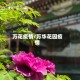 万花疫情/万华花园疫情