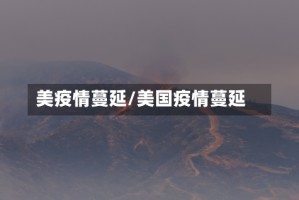 美疫情蔓延/美国疫情蔓延
