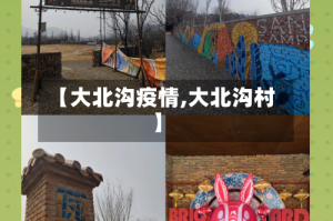 【大北沟疫情,大北沟村】