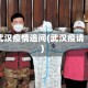 武汉疫情追问(武汉疫请)
