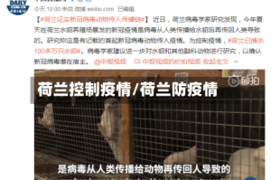 荷兰控制疫情/荷兰防疫情