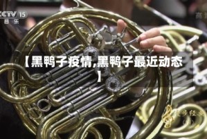 【黑鸭子疫情,黑鸭子最近动态】