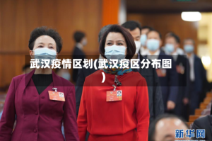 武汉疫情区划(武汉疫区分布图)