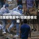 印度疫情震中/印度疫情沦陷