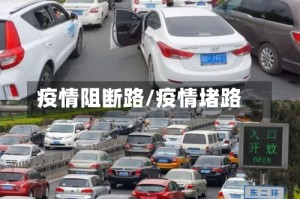 疫情阻断路/疫情堵路