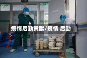 疫情后勤贡献/疫情 后勤