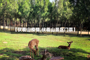 【伏羲山疫情,伏羲山景区门票】