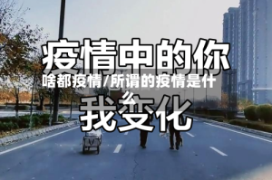 啥都疫情/所谓的疫情是什么