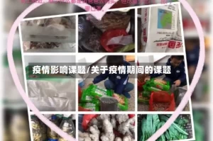 疫情影响课题/关于疫情期间的课题