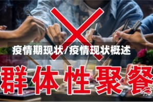 疫情期现状/疫情现状概述