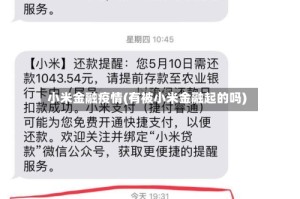 小米金融疫情(有被小米金融起的吗)