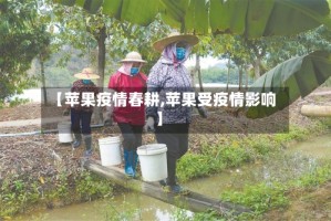 【苹果疫情春耕,苹果受疫情影响】