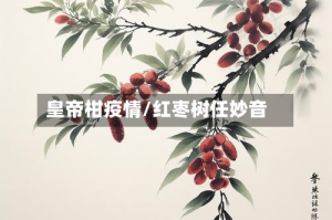 皇帝柑疫情/红枣树任妙音