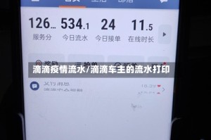 滴滴疫情流水/滴滴车主的流水打印