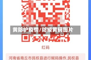 黄防护疫情/防疫黄码图片