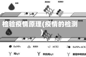 检验疫情原理(疫情的检测)