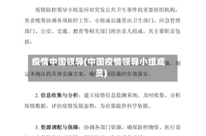 疫情中国领导(中国疫情领导小组成员)