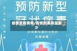 疫情全部费用/疫情的费用是多少