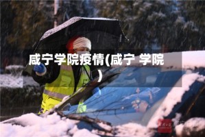 咸宁学院疫情(咸宁 学院)