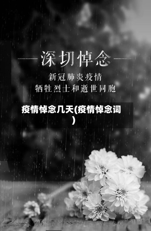 疫情悼念几天(疫情悼念词)-第3张图片