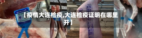 【疫情大连检疫,大连检疫证明在哪里开】-第2张图片