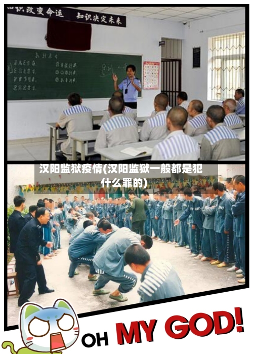 汉阳监狱疫情(汉阳监狱一般都是犯什么罪的)-第1张图片