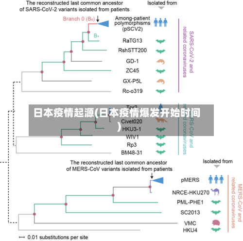 日本疫情起源(日本疫情爆发开始时间)-第3张图片