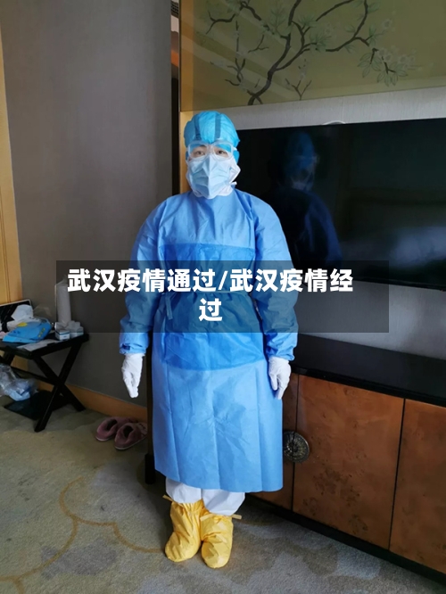 武汉疫情通过/武汉疫情经过-第1张图片
