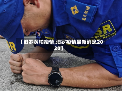 【汨罗黄柏疫情,汨罗疫情最新消息2020】-第1张图片