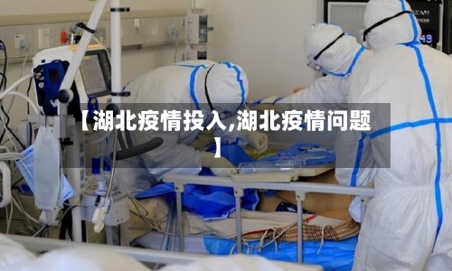 【湖北疫情投入,湖北疫情问题】-第2张图片