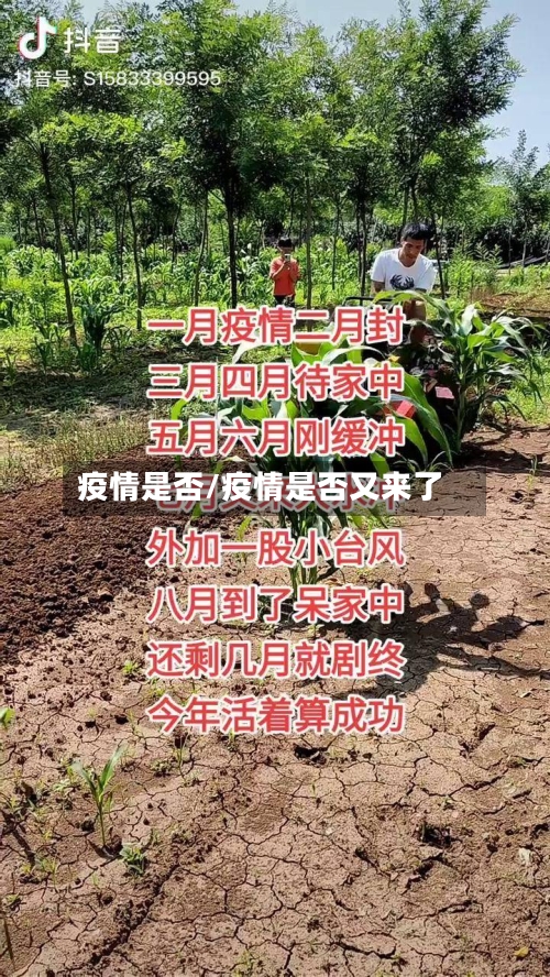 疫情是否/疫情是否又来了-第2张图片