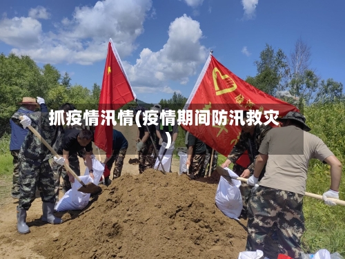 抓疫情汛情(疫情期间防汛救灾)-第1张图片