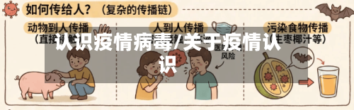 认识疫情病毒/关于疫情认识-第1张图片