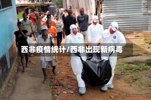 西非疫情统计/西非出现新病毒-第2张图片