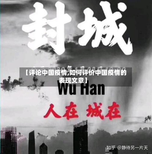 【评论中国疫情,如何评价中国疫情的表现文章】-第2张图片
