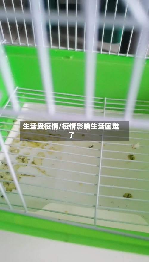 生活受疫情/疫情影响生活困难了-第2张图片