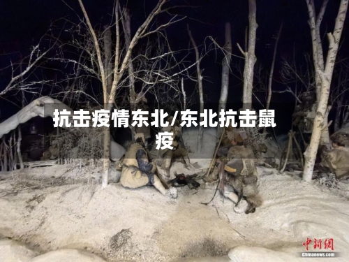 抗击疫情东北/东北抗击鼠疫-第2张图片