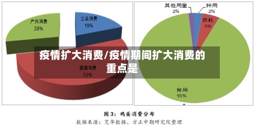 疫情扩大消费/疫情期间扩大消费的重点是-第1张图片