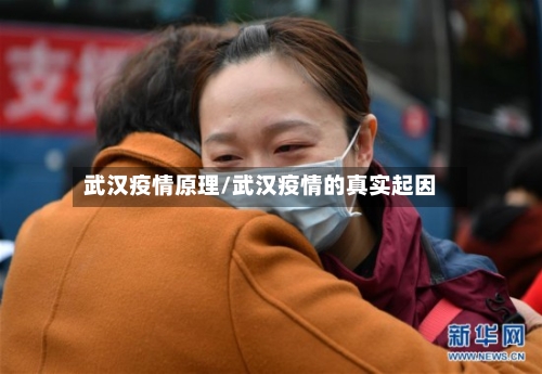 武汉疫情原理/武汉疫情的真实起因-第3张图片
