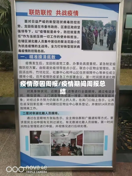 疫情原因周报/疫情期间周报总结-第2张图片