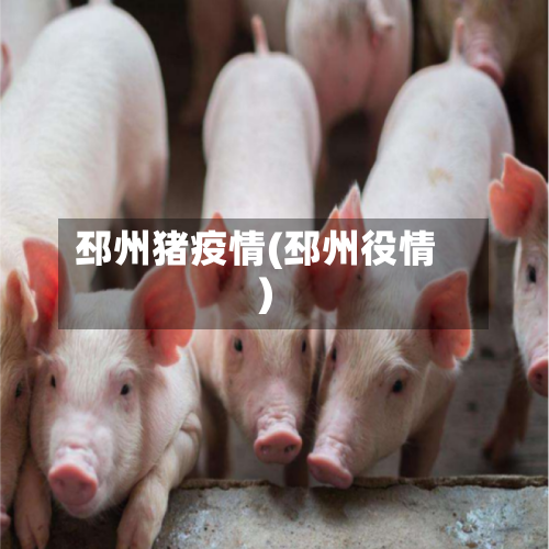 邳州猪疫情(邳州役情)-第1张图片