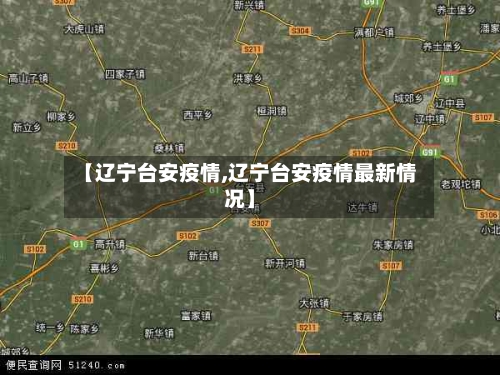 【辽宁台安疫情,辽宁台安疫情最新情况】-第2张图片