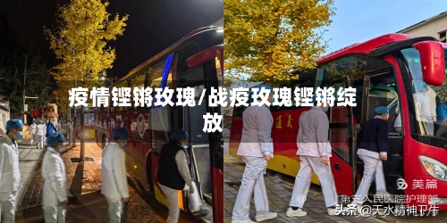 疫情铿锵玫瑰/战疫玫瑰铿锵绽放-第2张图片