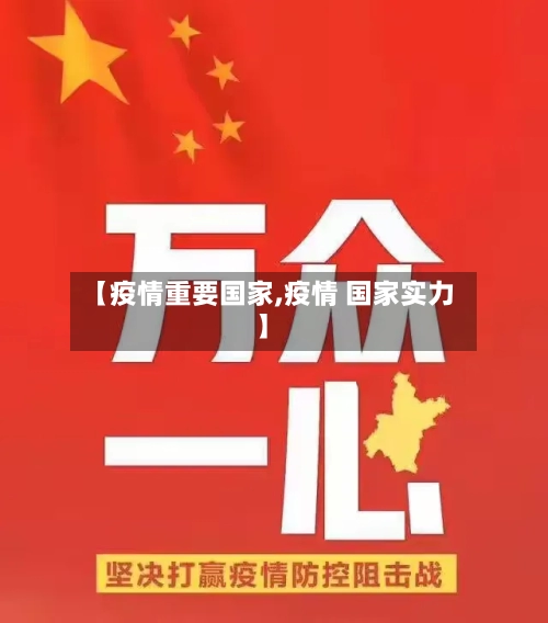 【疫情重要国家,疫情 国家实力】-第3张图片