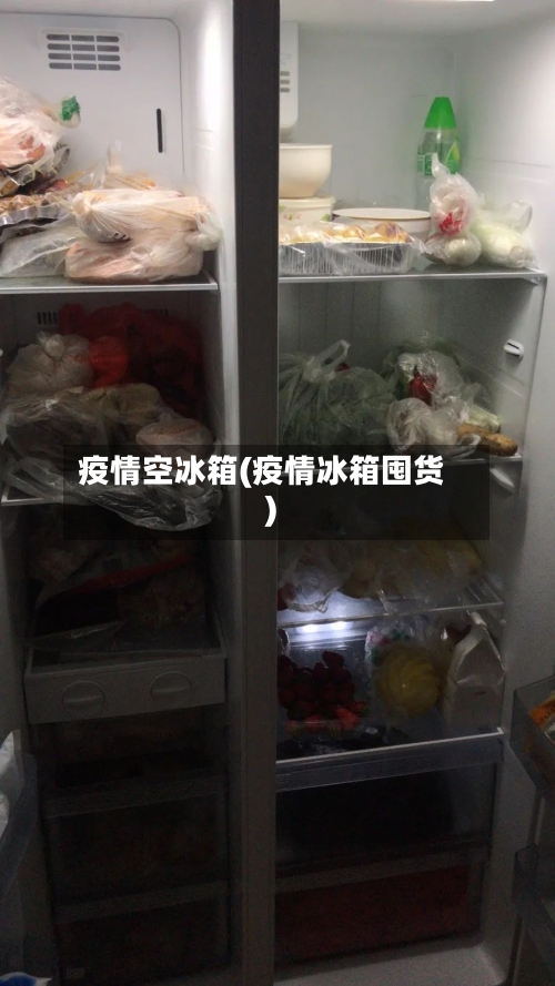 疫情空冰箱(疫情冰箱囤货)-第2张图片