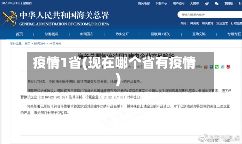 疫情1省(现在哪个省有疫情)-第2张图片