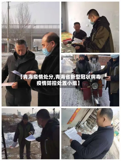 【青海疫情处分,青海省新型冠状病毒疫情防控处置小组】-第1张图片