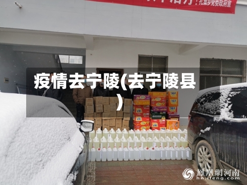 疫情去宁陵(去宁陵县)-第1张图片